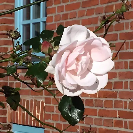 Ferienhaus Wichmannsdorf Hébergement de vacances *